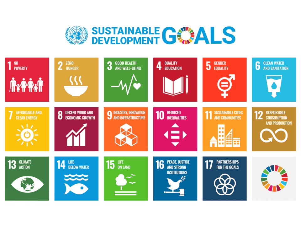Douglas Ohi’s Sustainability Journey And The Un’s Global Goals